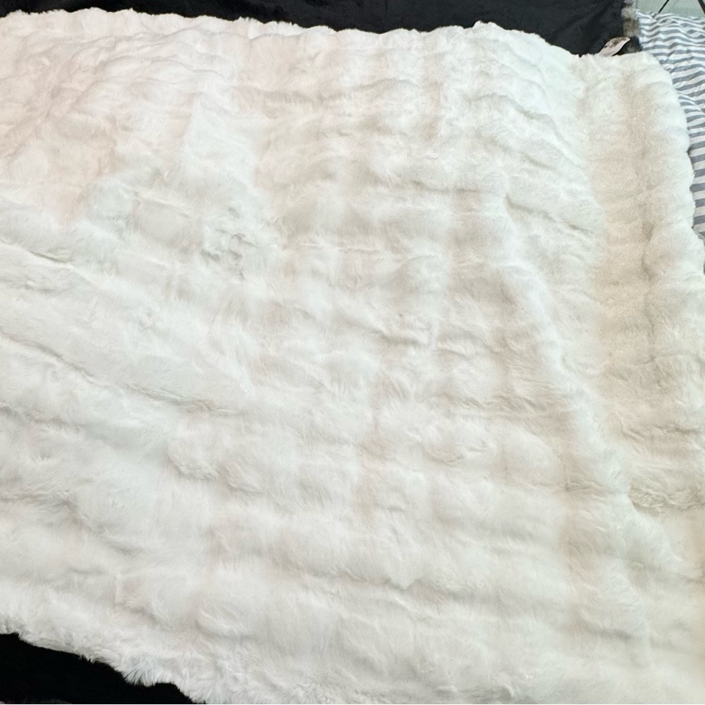 NWT Aviva Stanoff Plush Faux Fur Throw Blanket and 2 Pillows - White